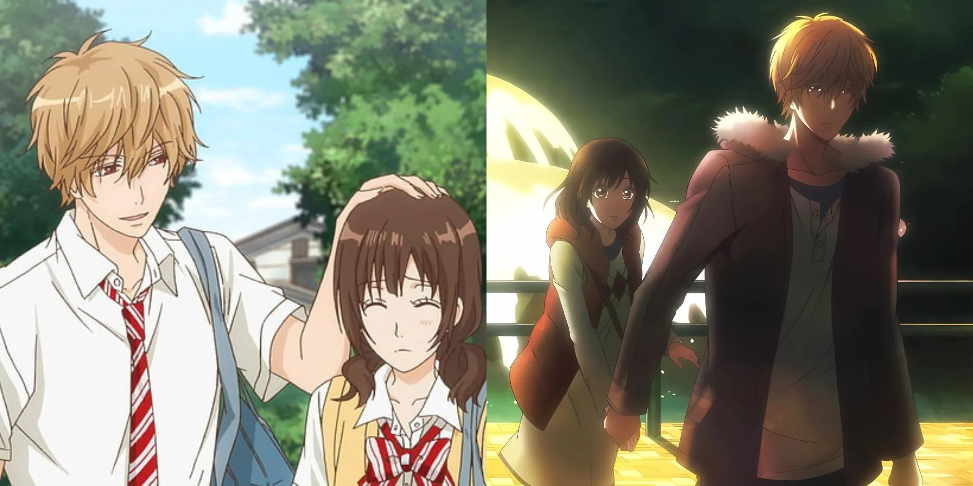 Kyouya Sata và Erika Shinohara trong một cảnh từ Wolf Girl &amp; Black Prince