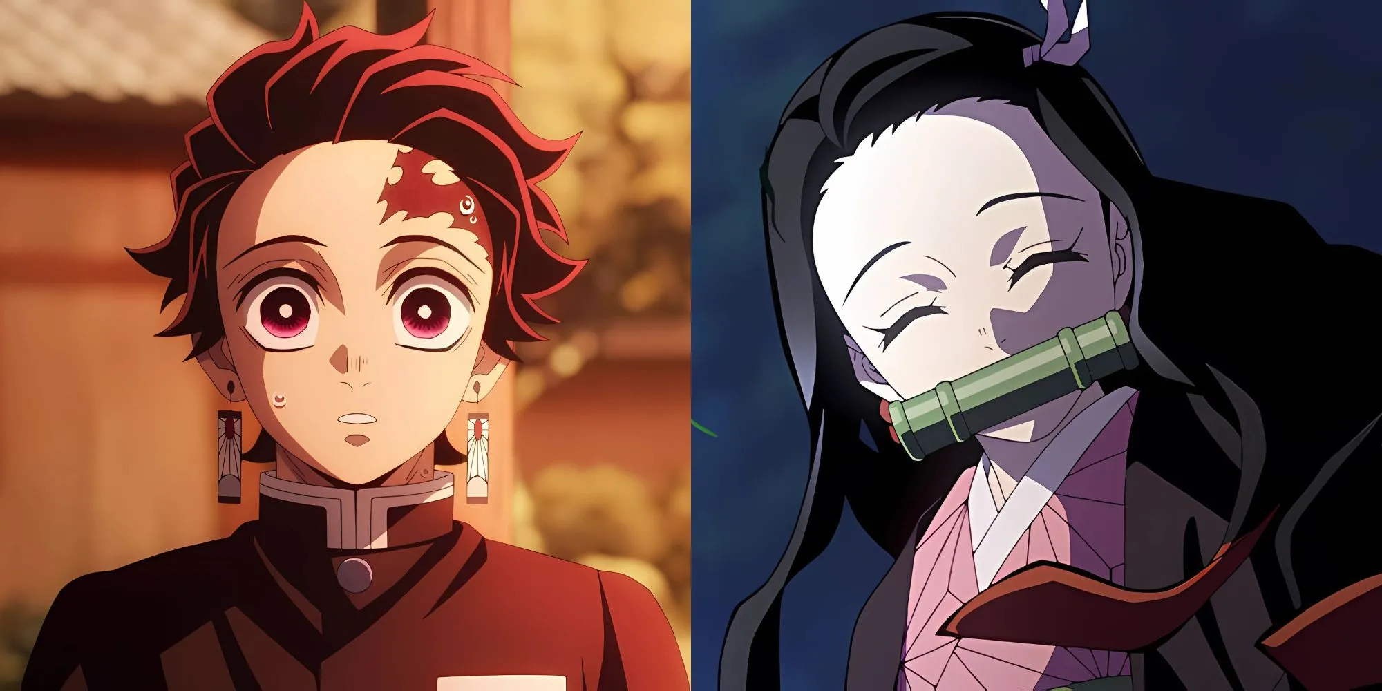 Tanjiro Kamado và Nezuko trong Thanh Gươm Diệt Quỷ