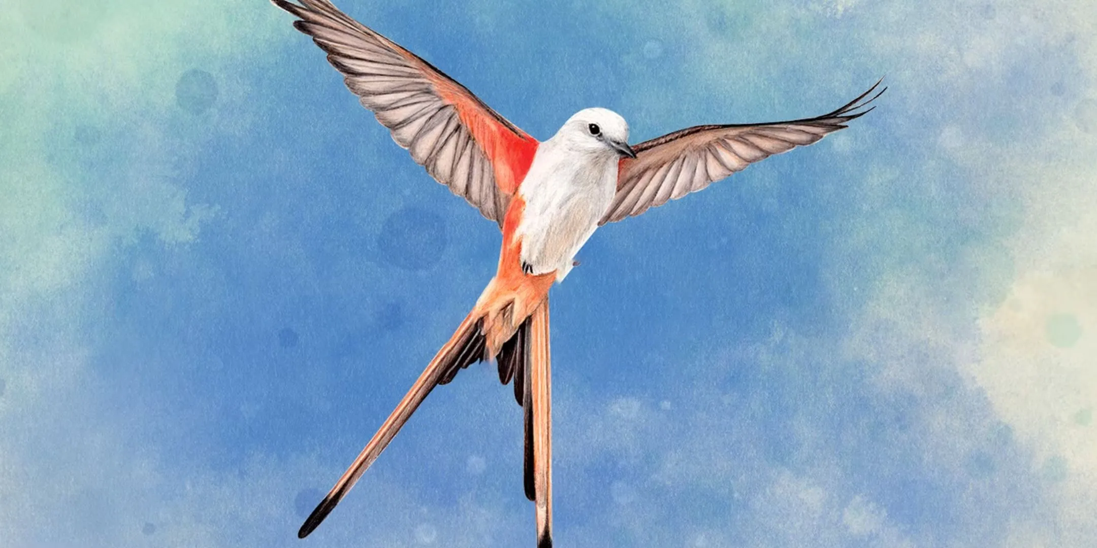 Ảnh bìa game Wingspan với hình ảnh chú chim