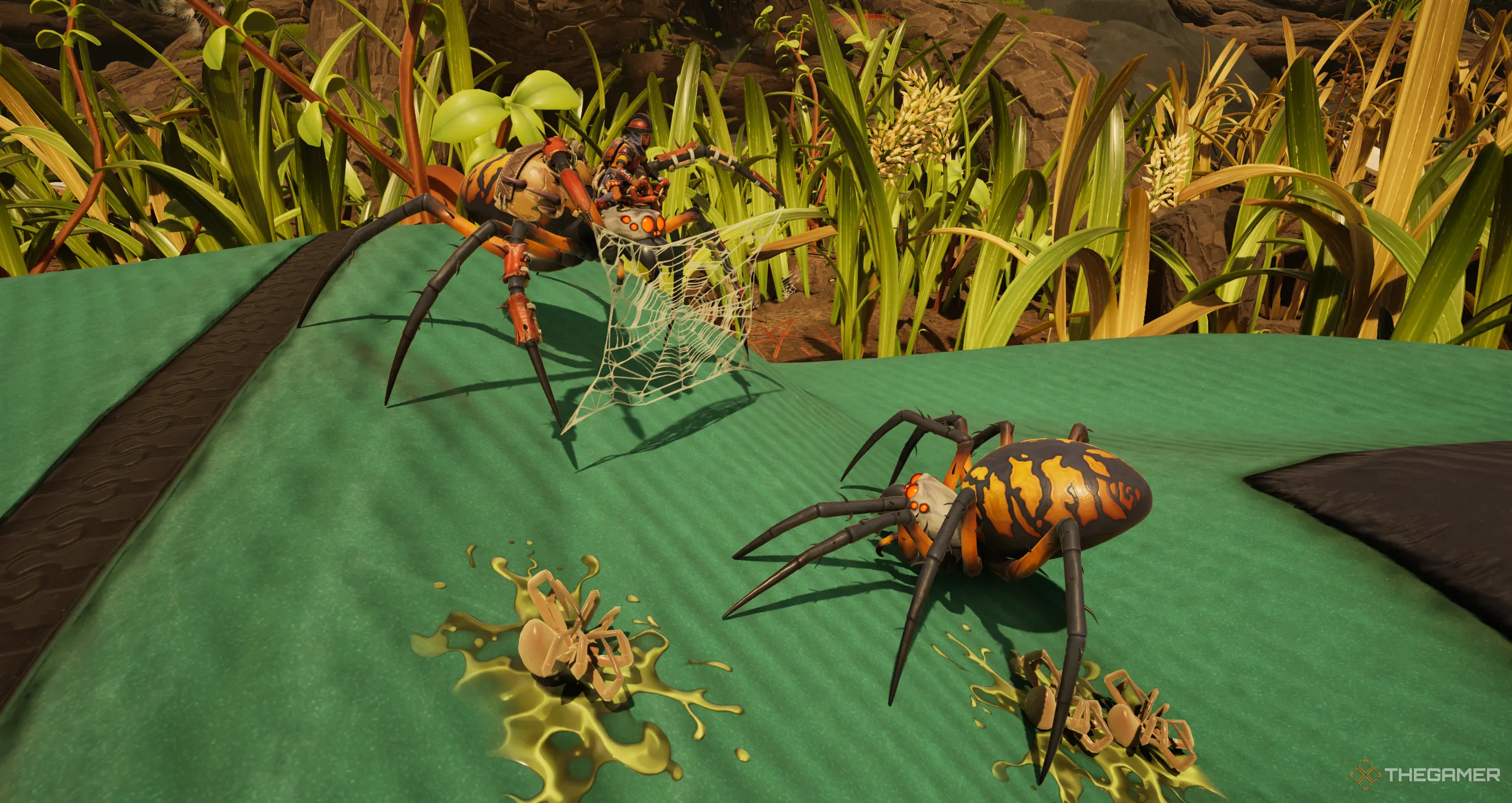 Hai nhện Orb Weaver đang giao tranh kịch liệt trong Grounded 2, một trong số đó có thể là thú cưỡi đồng hành của người chơi.