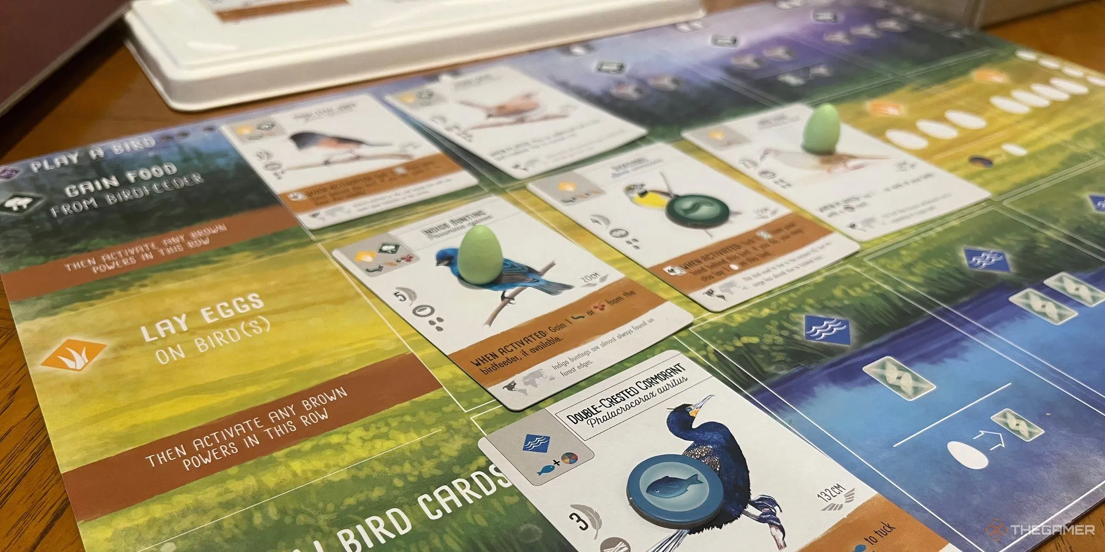 Thảm chơi của board game Wingspan với các lá bài chim, trứng và khối xúc xắc chim