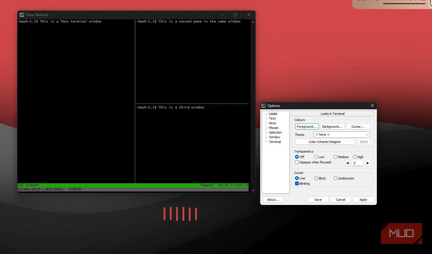 Cửa sổ tùy chọn itmux, hiển thị các mục cấu hình màu, font và shortcut.