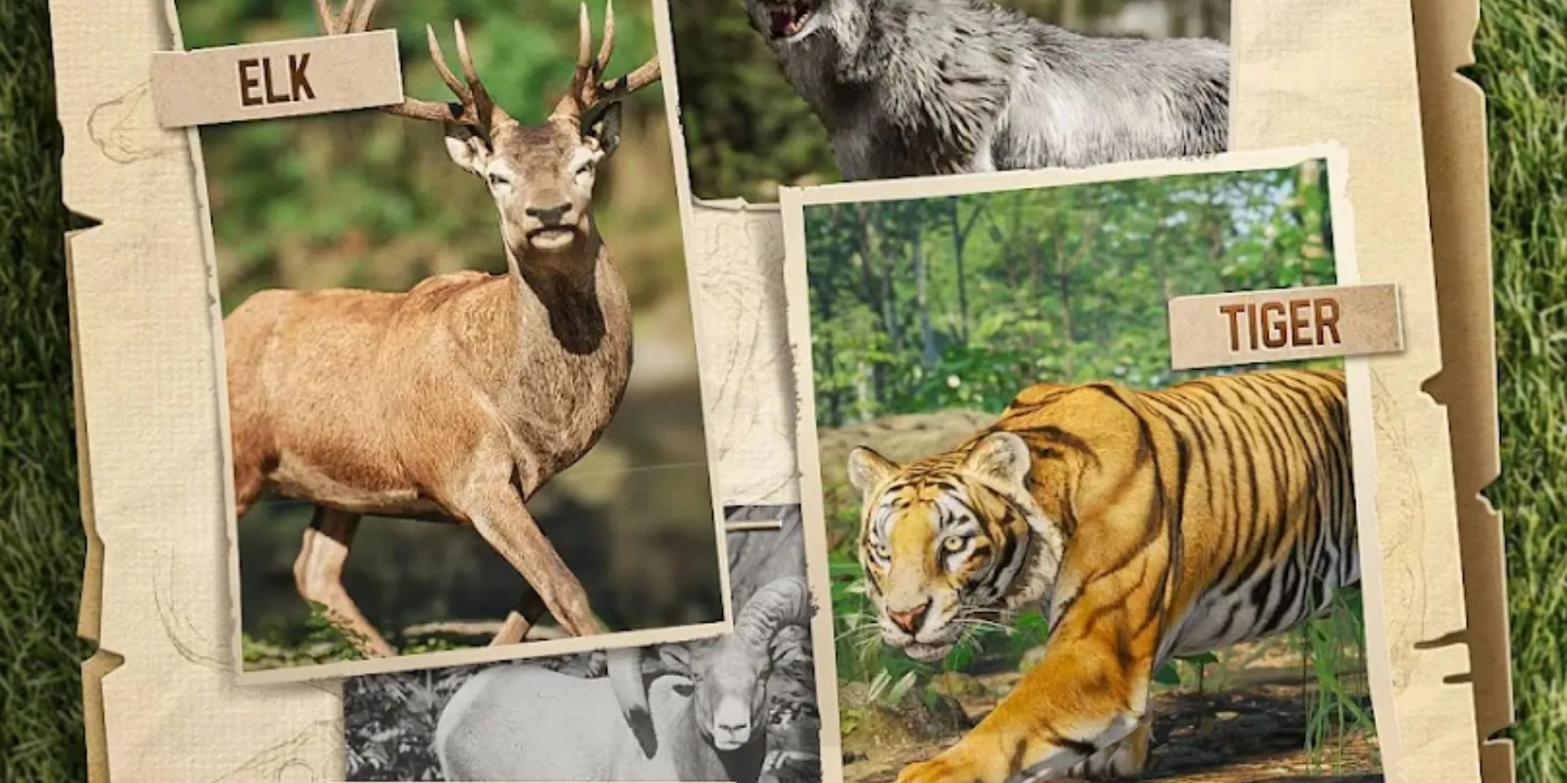 Hình ảnh tạp cảnh săn: hổ/tuần lộc minh họa loại môi trường săn trong game Hunting Sniper